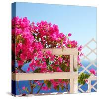 Santorini Blooms-Sylvia Coomes-Stretched Canvas