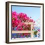 Santorini Blooms-Sylvia Coomes-Framed Photographic Print