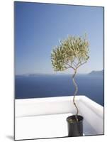 Santorini, Cyclades, Greek Islands, Greece, Europe-Angelo Cavalli-Mounted Photographic Print