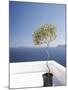 Santorini, Cyclades, Greek Islands, Greece, Europe-Angelo Cavalli-Mounted Photographic Print