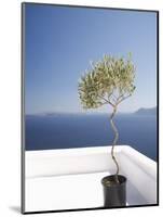 Santorini, Cyclades, Greek Islands, Greece, Europe-Angelo Cavalli-Mounted Photographic Print
