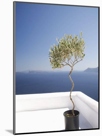 Santorini, Cyclades, Greek Islands, Greece, Europe-Angelo Cavalli-Mounted Photographic Print