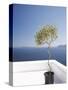 Santorini, Cyclades, Greek Islands, Greece, Europe-Angelo Cavalli-Stretched Canvas