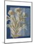 Santorini Floral II-Megan Meagher-Mounted Art Print