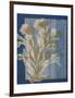 Santorini Floral II-Megan Meagher-Framed Art Print