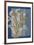 Santorini Floral II-Megan Meagher-Framed Art Print