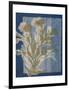 Santorini Floral II-Megan Meagher-Framed Art Print