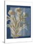 Santorini Floral II-Megan Meagher-Stretched Canvas