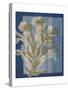 Santorini Floral II-Megan Meagher-Stretched Canvas