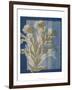 Santorini Floral II-Megan Meagher-Framed Art Print