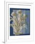 Santorini Floral II-Megan Meagher-Framed Art Print