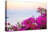 Santorini Greece-Little_Desire-Stretched Canvas