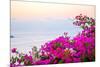 Santorini Greece-Little_Desire-Mounted Photographic Print