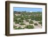 Santorini Vineyard-Antonio Gravante-Framed Photographic Print