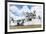 Santuario De Bom Jesus De Matosinhos-Gabrielle and Michael Therin-Weise-Framed Photographic Print