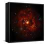 SAO: M83 Spiral Galaxy-null-Framed Stretched Canvas