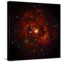 SAO: M83 Spiral Galaxy-null-Stretched Canvas