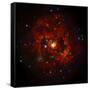 SAO: M83 Spiral Galaxy-null-Framed Stretched Canvas