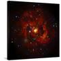 SAO: M83 Spiral Galaxy-null-Stretched Canvas