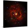 SAO: M83 Spiral Galaxy-null-Stretched Canvas