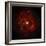 SAO: M83 Spiral Galaxy-null-Framed Photographic Print