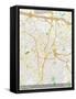 Sao Paulo, Brazil Map-null-Framed Stretched Canvas