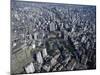 Sao Paulo, Brazil-null-Mounted Photographic Print