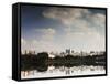 Sao Paulo Cityscape Reflected in the Lake at Ibirapuera Park-Alex Saberi-Framed Stretched Canvas