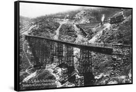 São Paulo Railway, Brazil, Early 20th Century-null-Framed Stretched Canvas
