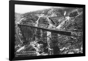 São Paulo Railway, Brazil, Early 20th Century-null-Framed Premium Giclee Print