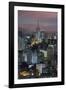 Sao Paulo Skyline at Night, Brazil.-Jon Hicks-Framed Photographic Print