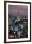 Sao Paulo Skyline at Night, Brazil.-Jon Hicks-Framed Photographic Print