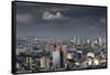 Sao Paulo Skyline, Brazil.-Jon Hicks-Framed Stretched Canvas