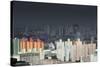 Sao Paulo Skyline, Brazil.-Jon Hicks-Stretched Canvas