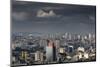 Sao Paulo Skyline, Brazil.-Jon Hicks-Mounted Photographic Print