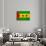 Sao Tome And Principe Flag Design with Wood Patterning - Flags of the World Series-Philippe Hugonnard-Art Print displayed on a wall