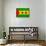 Sao Tome And Principe Flag Design with Wood Patterning - Flags of the World Series-Philippe Hugonnard-Art Print displayed on a wall