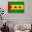 Sao Tome And Principe Flag Design with Wood Patterning - Flags of the World Series-Philippe Hugonnard-Stretched Canvas displayed on a wall