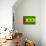 Sao Tome And Principe Flag Design with Wood Patterning - Flags of the World Series-Philippe Hugonnard-Art Print displayed on a wall