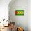 Sao Tome And Principe Flag Design with Wood Patterning - Flags of the World Series-Philippe Hugonnard-Stretched Canvas displayed on a wall