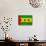 Sao Tome And Principe Flag Design with Wood Patterning - Flags of the World Series-Philippe Hugonnard-Stretched Canvas displayed on a wall