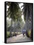 Sao Tomense Walk Through a Plantation Called 'Rio Do Ouro' in the North of the Island of Sao Tomé-Camilla Watson-Framed Stretched Canvas