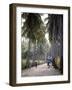 Sao Tomense Walk Through a Plantation Called 'Rio Do Ouro' in the North of the Island of Sao Tomé-Camilla Watson-Framed Photographic Print