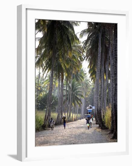 Sao Tomense Walk Through a Plantation Called 'Rio Do Ouro' in the North of the Island of Sao Tomé-Camilla Watson-Framed Photographic Print