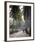 Sao Tomense Walk Through a Plantation Called 'Rio Do Ouro' in the North of the Island of Sao Tomé-Camilla Watson-Framed Photographic Print