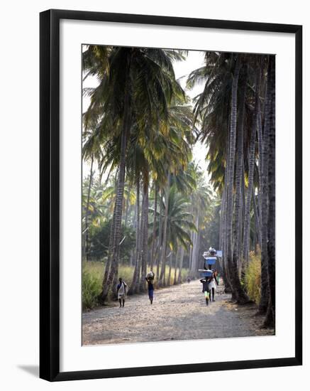 Sao Tomense Walk Through a Plantation Called 'Rio Do Ouro' in the North of the Island of Sao Tomé-Camilla Watson-Framed Photographic Print