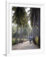 Sao Tomense Walk Through a Plantation Called 'Rio Do Ouro' in the North of the Island of Sao Tomé-Camilla Watson-Framed Photographic Print