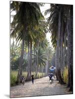 Sao Tomense Walk Through a Plantation Called 'Rio Do Ouro' in the North of the Island of Sao Tomé-Camilla Watson-Mounted Photographic Print
