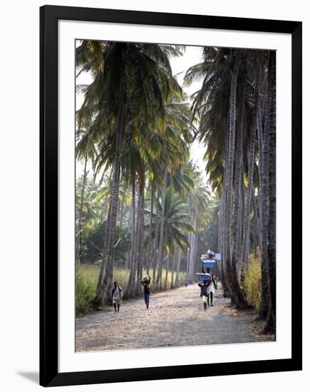 Sao Tomense Walk Through a Plantation Called 'Rio Do Ouro' in the North of the Island of Sao Tomé-Camilla Watson-Framed Photographic Print