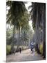 Sao Tomense Walk Through a Plantation Called 'Rio Do Ouro' in the North of the Island of Sao Tomé-Camilla Watson-Mounted Photographic Print